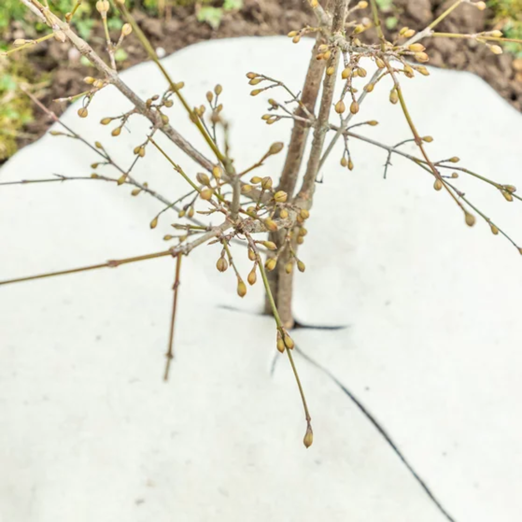 Mulchscheiben, ∅ 25 Cm – Bild 4