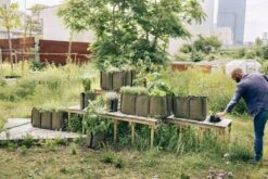 Pflanztasche "Classic" - Geotextil, 10 L