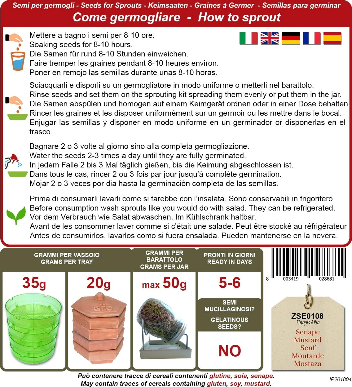 Bio Keimsprossen "Senf", 50 G