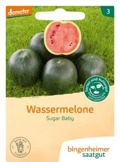 Wassermelone "Sugar Baby"