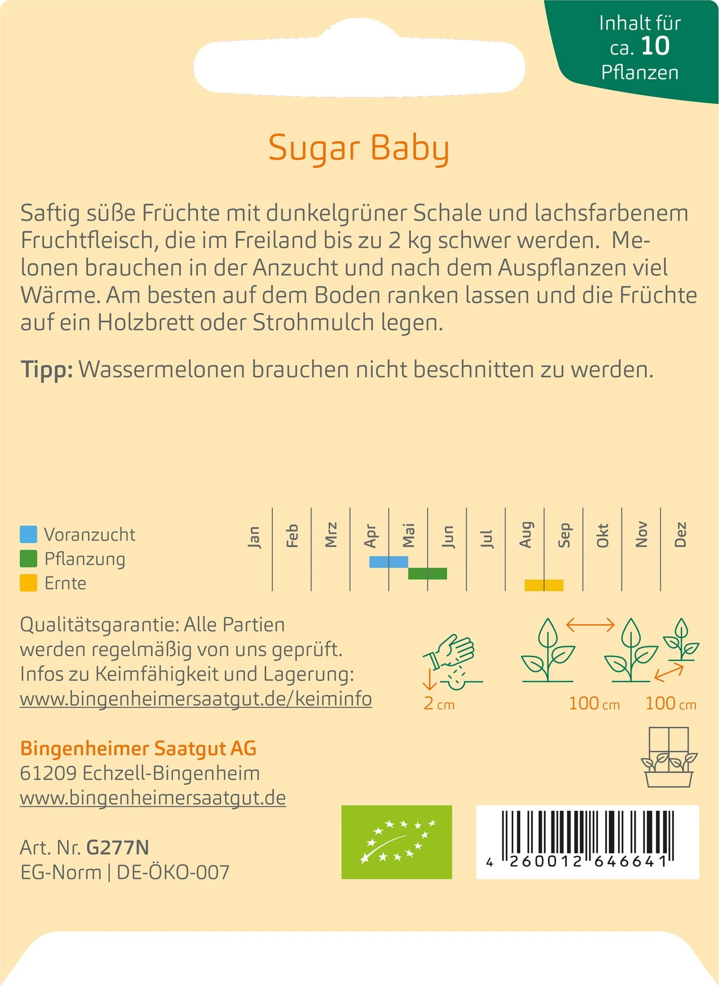 Wassermelone "Sugar Baby" – Bild 2