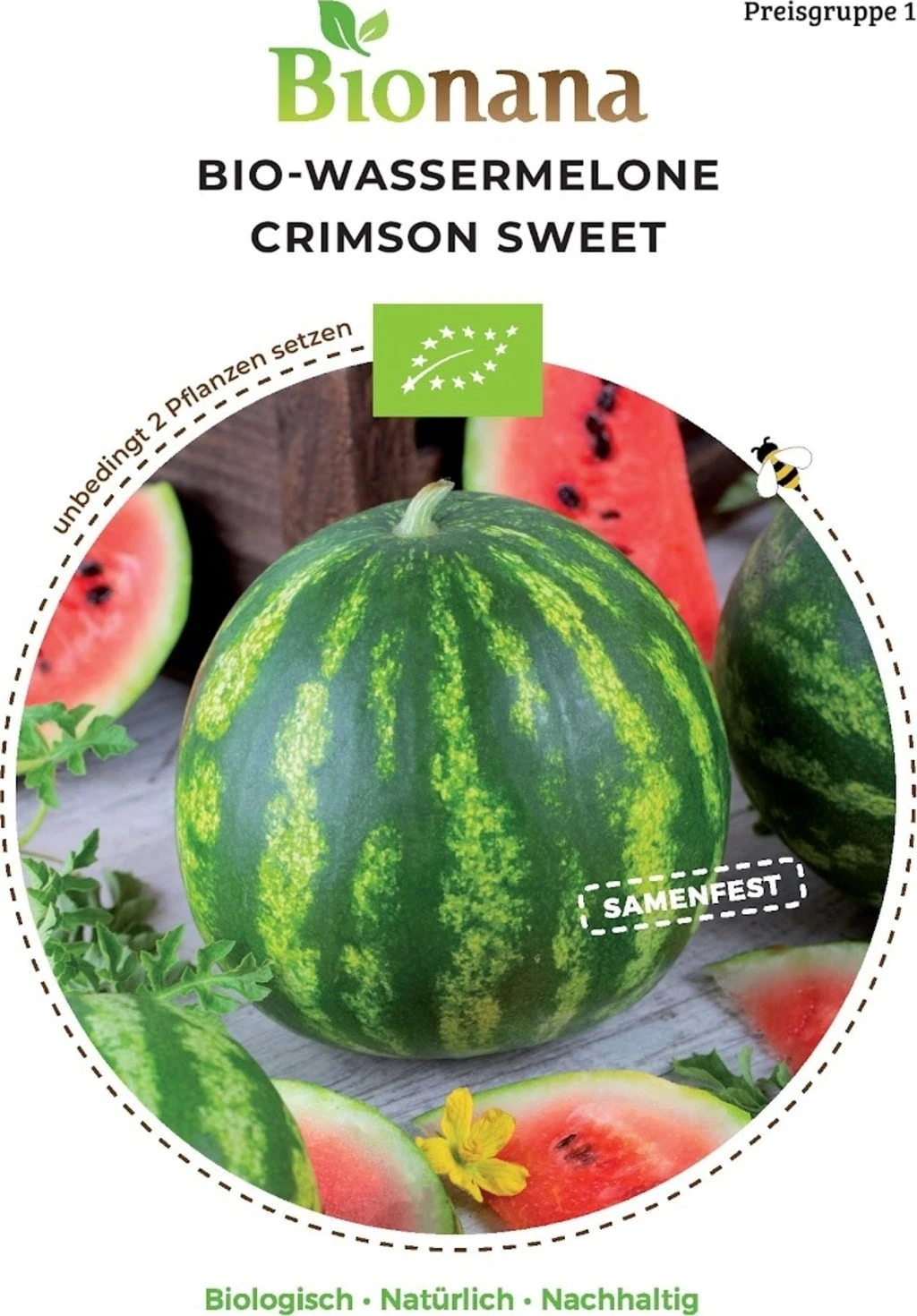 Bio Wassermelone Crimson Sweet – Bild 2