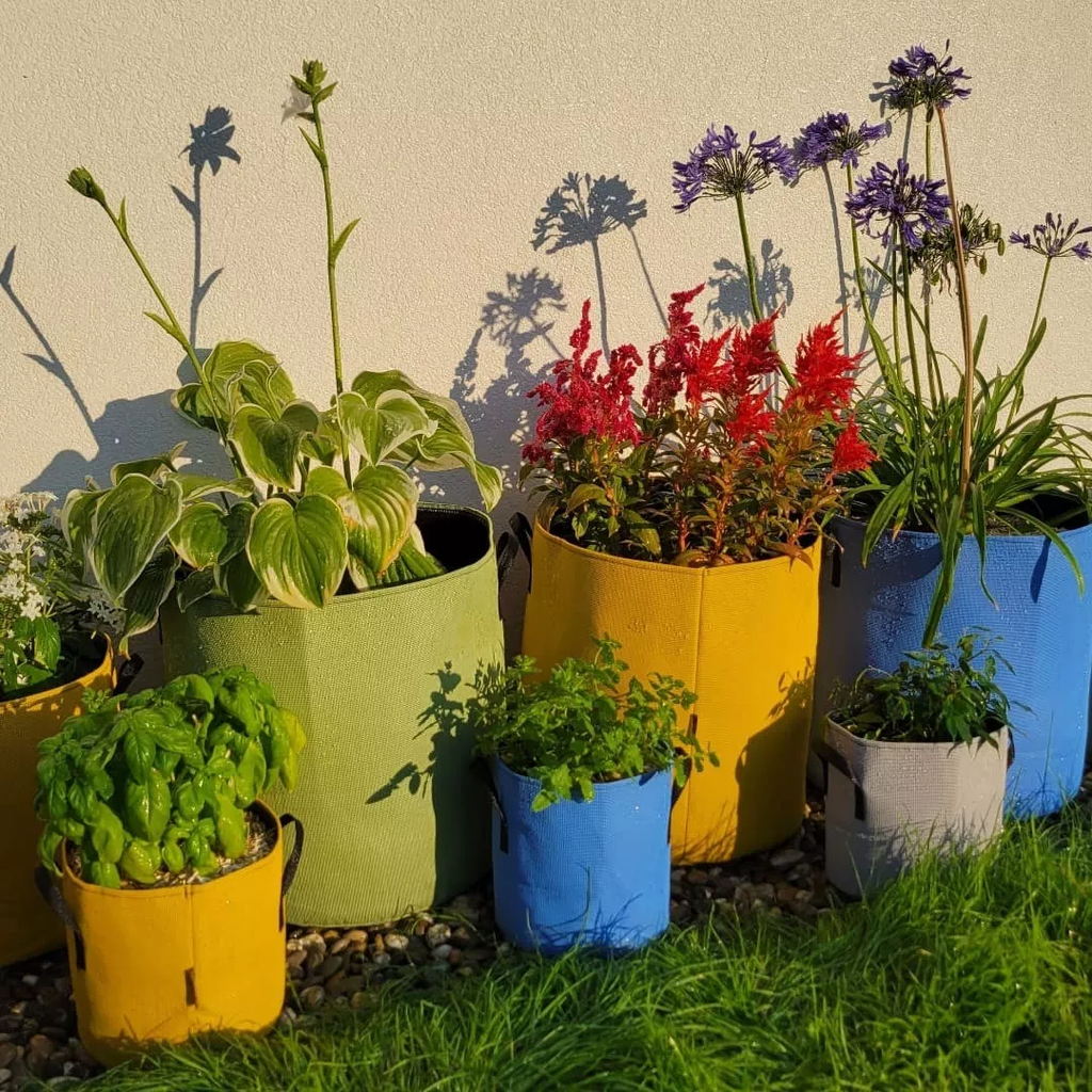 Pflanztasche Aus Geotextil ∅ 30 Cm, Grün – Bild 7