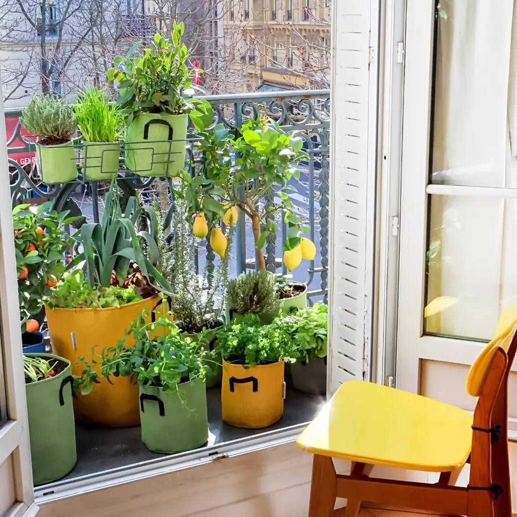 Pflanztasche Aus Geotextil ∅ 30 Cm, Grün – Bild 4