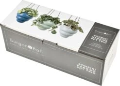 Hängetopf-Trio "Baby Bombini"