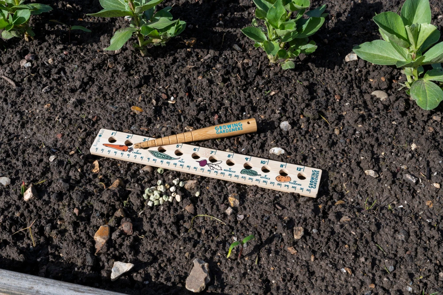 Pflanzlineal & Setzholz Für Kinder – Bild 6