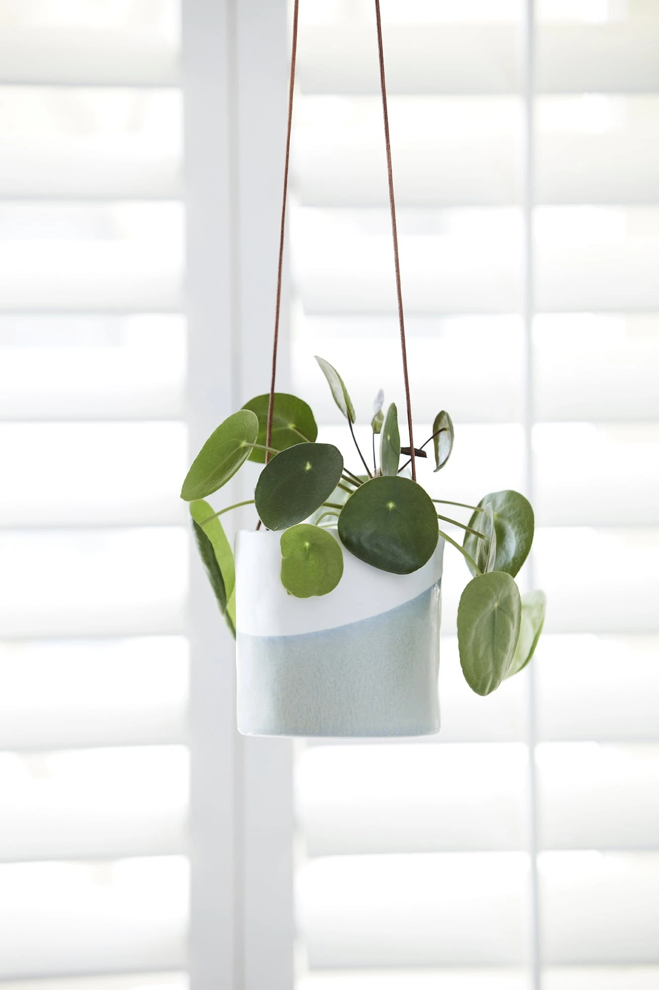 Pflanztopf Zum Hängen "Dip" – Bild 2