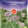 Phacelia, 50 G