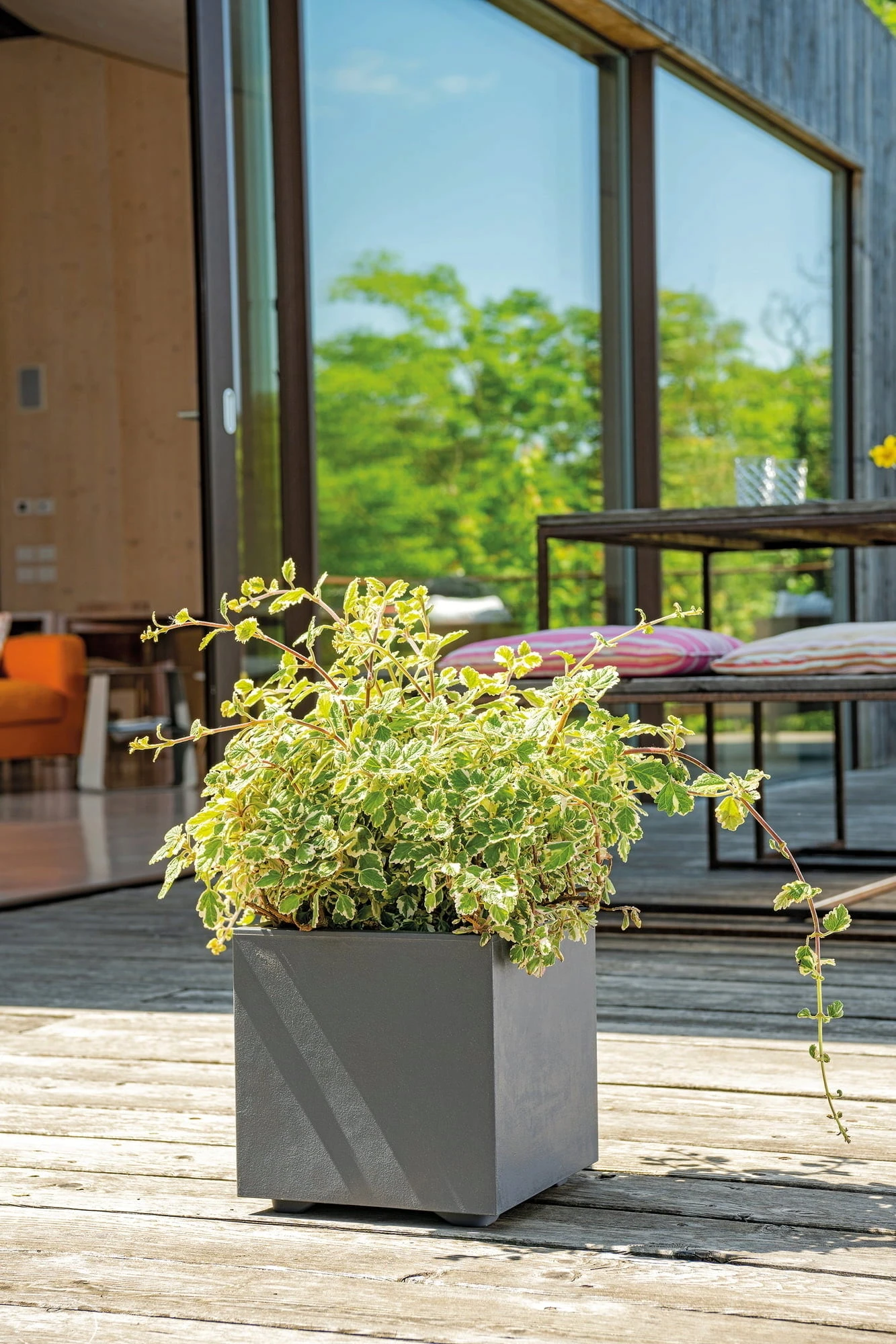 Pflanztopf "Quadro Millenium" Mit Wasserreservoir - Anthrazit, 39 Cm – Bild 3