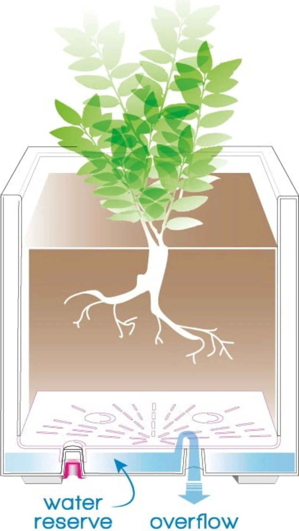 Pflanztopf "Quadro Millenium" Mit Wasserreservoir - Anthrazit, 39 Cm – Bild 4