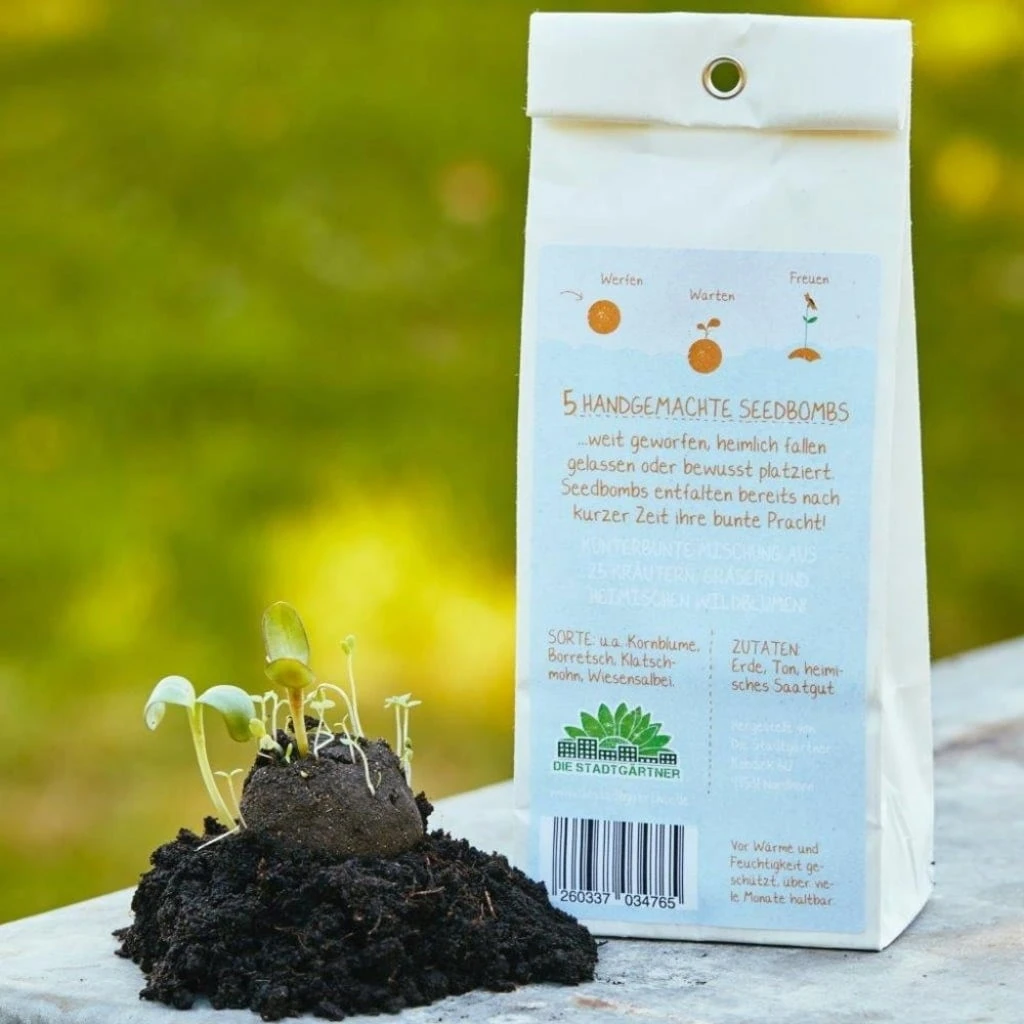 Samenbomben "Hallo Sonnenschein" – Bild 2