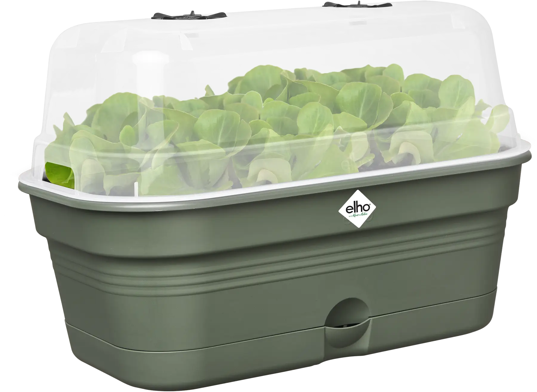 Elho Anzuchtschalen-Set Green Basics Allin1 - M, Laubgrün – Bild 4