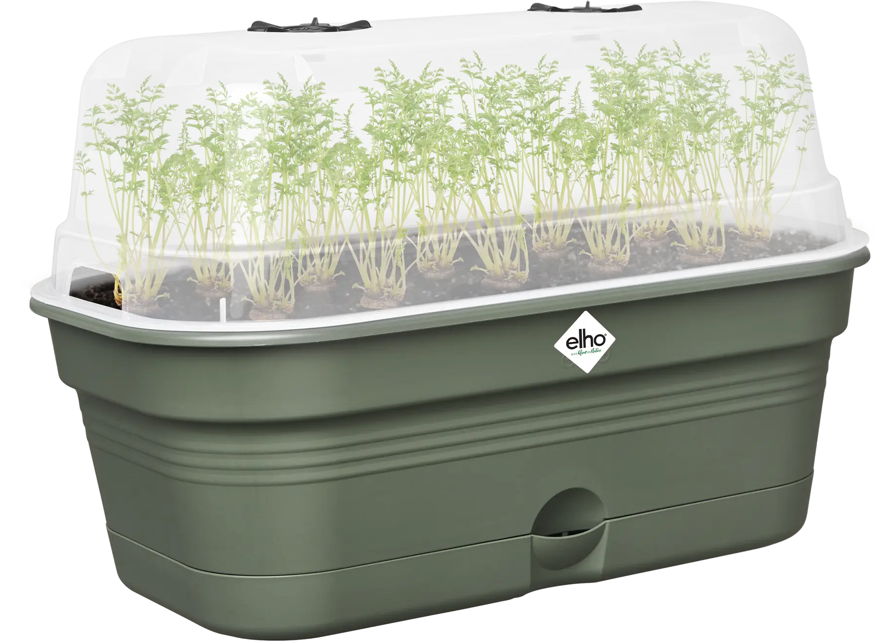 Elho Anzuchtschalen-Set Green Basics Allin1 - M, Laubgrün – Bild 7