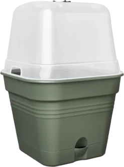 Elho Anzuchttopf Set Green Basics 30cm - Quadrat, Laubgrün