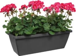 Elho Barcelona Balkonkasten 70 Cm, Anthrazit