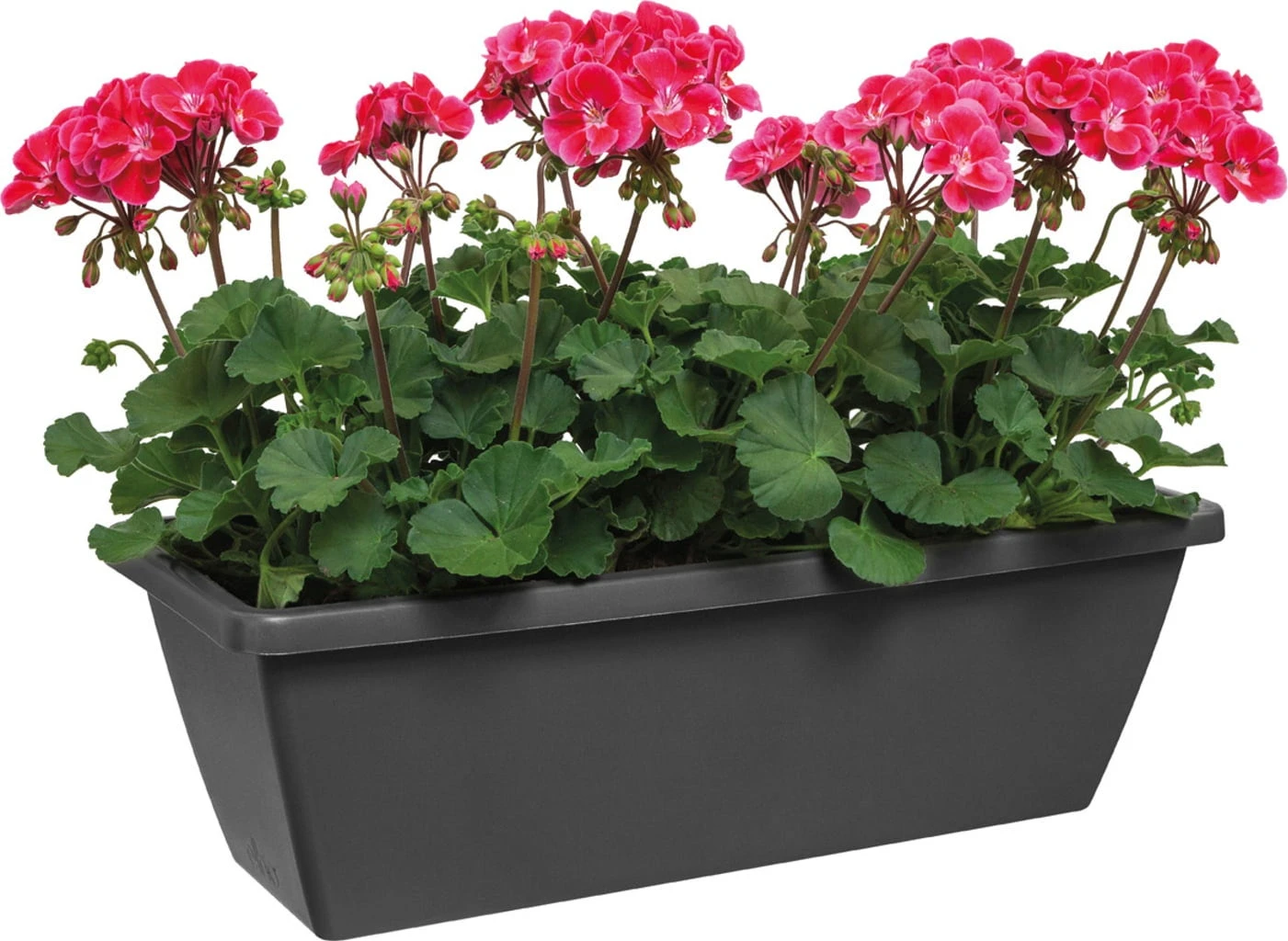 Elho Barcelona Balkonkasten 70 Cm, Anthrazit