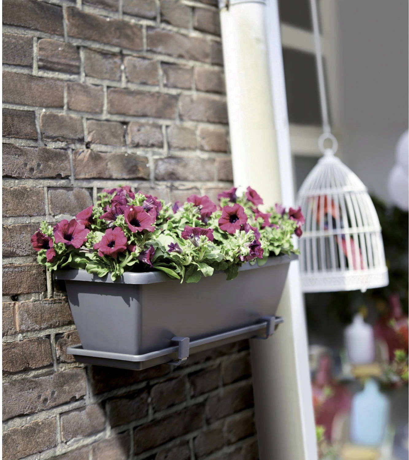 Elho Barcelona Balkonkasten 70 Cm, Anthrazit – Bild 4