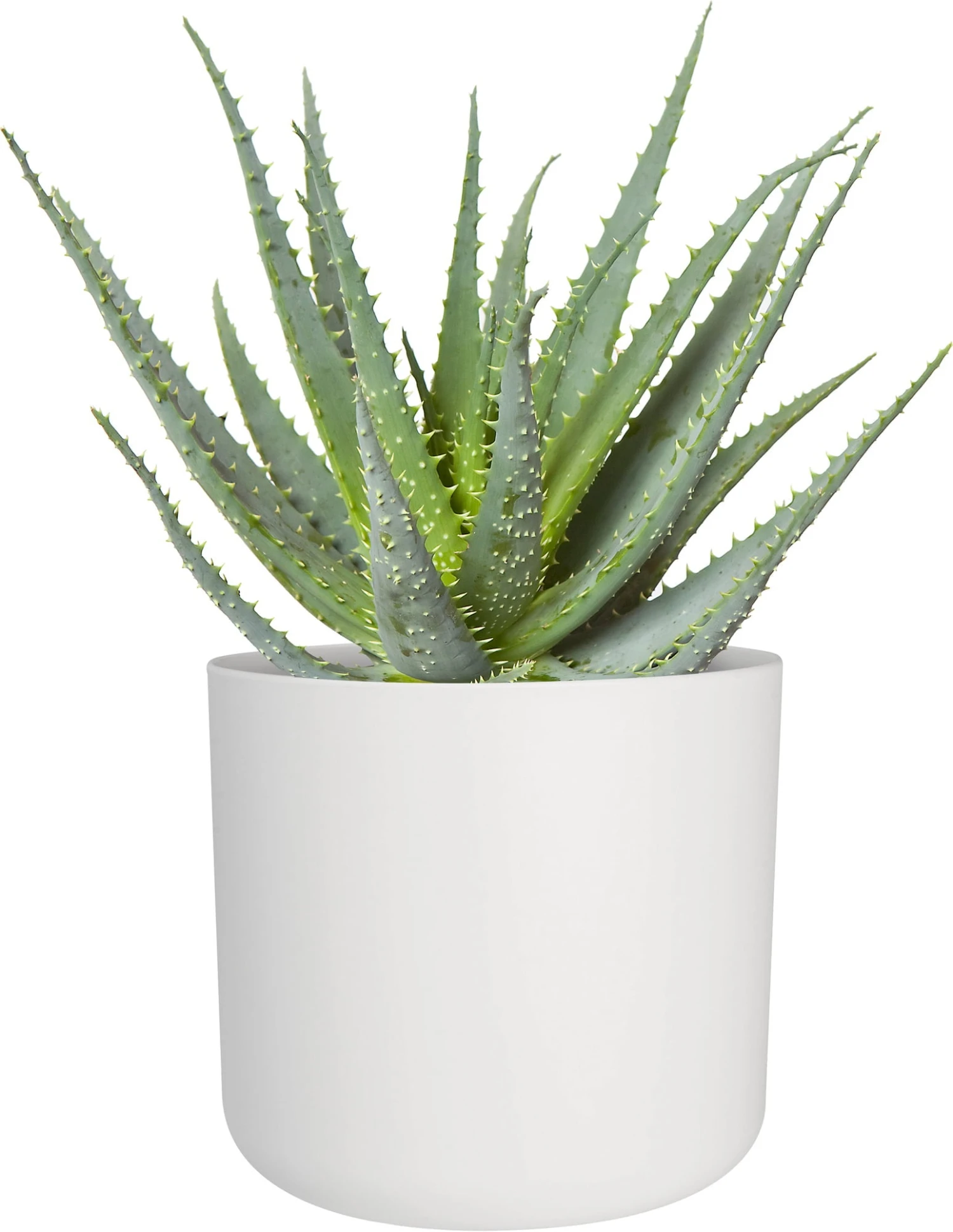 Elho B.for Soft Rund Weiß, Ø 14 Cm – Bild 4