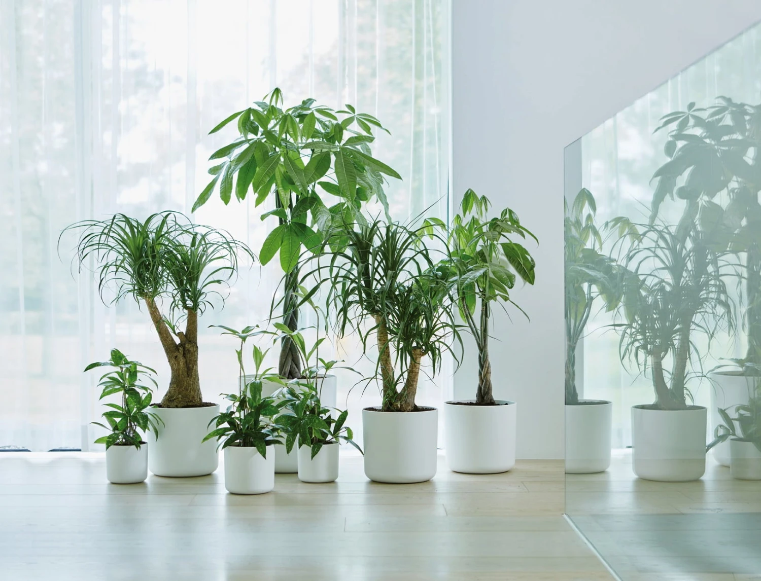 Elho B.for Soft Rund Weiß, Ø 14 Cm – Bild 3