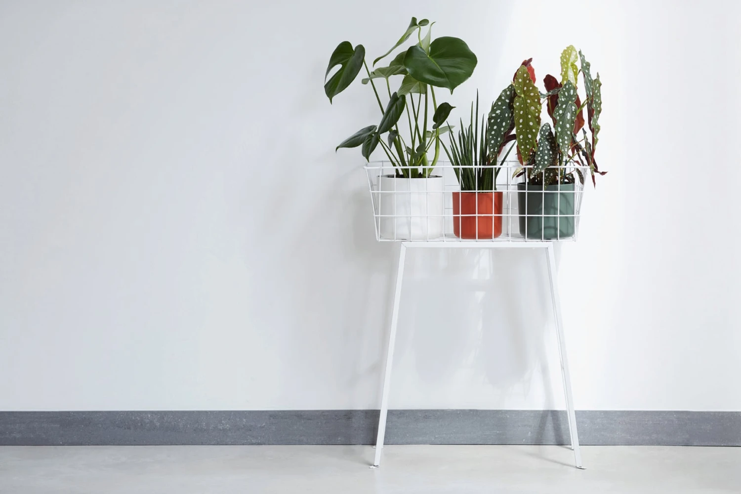 Elho B.for Soft Rund Weiß, Ø 14 Cm – Bild 2