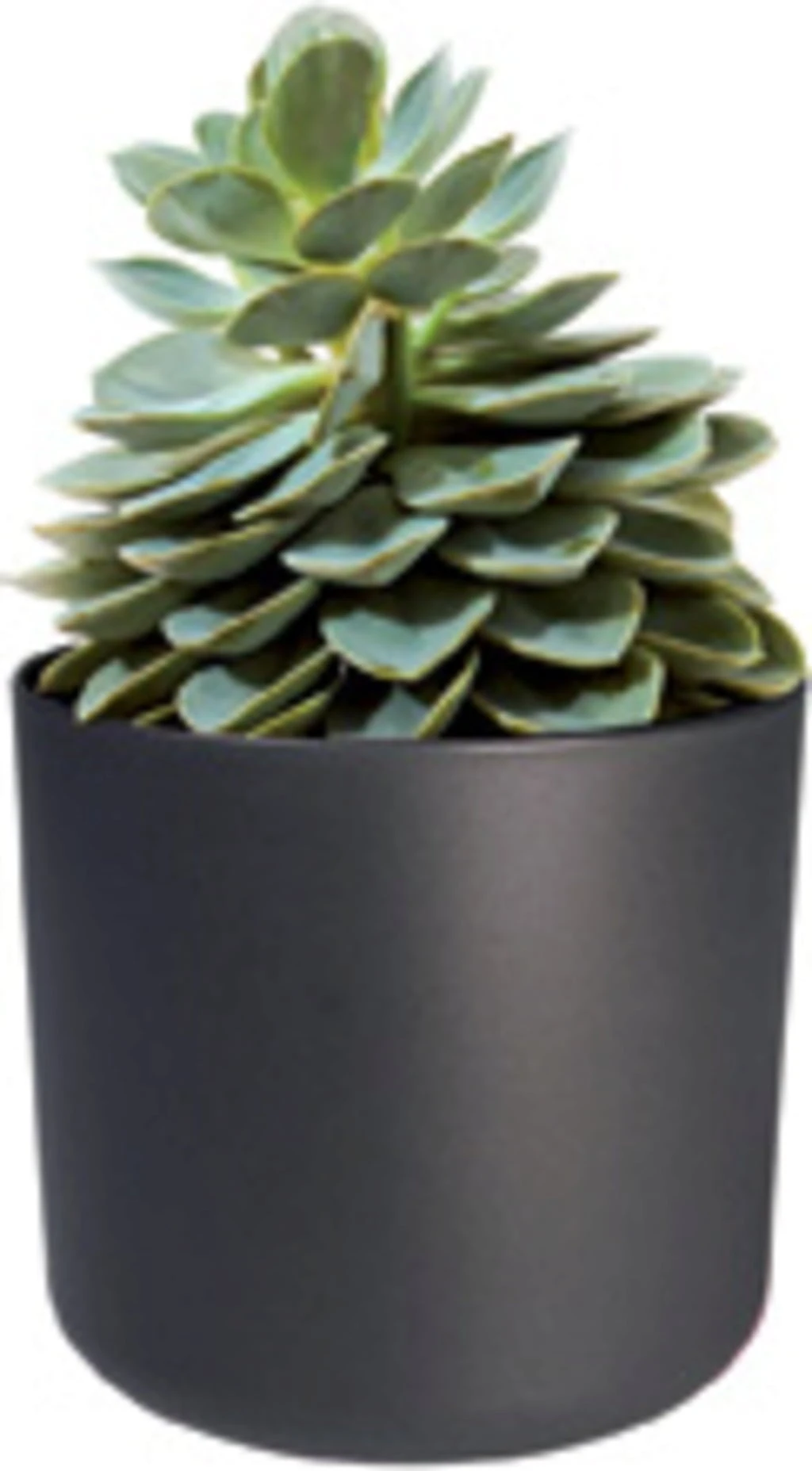 Elho B.for Soft Rund Anthrazit, Ø 22 Cm – Bild 3