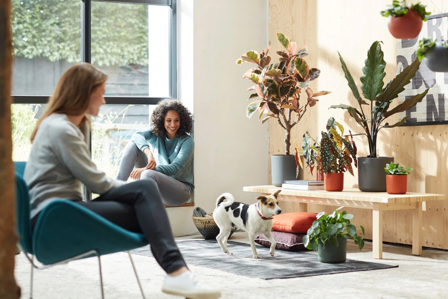 Elho B.for Soft Rund Anthrazit, Ø 22 Cm – Bild 6