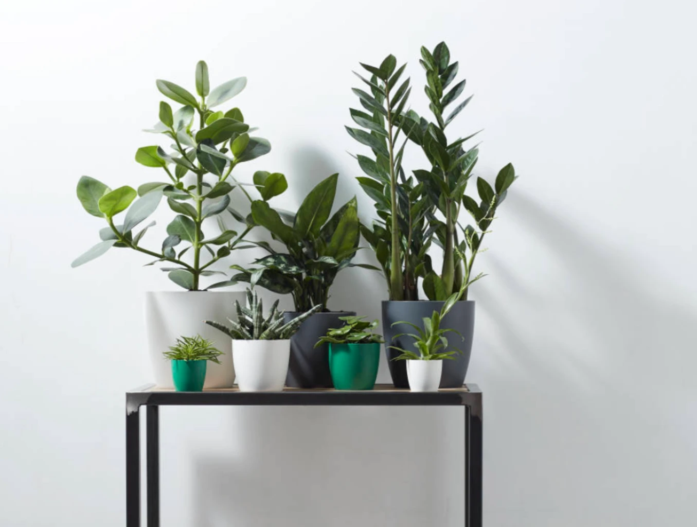 Elho Brussels Rund 14 Cm, Weiß – Bild 3