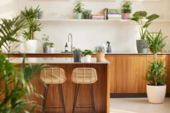 Elho Brussels Rund Mini 13 Cm, Anthrazit