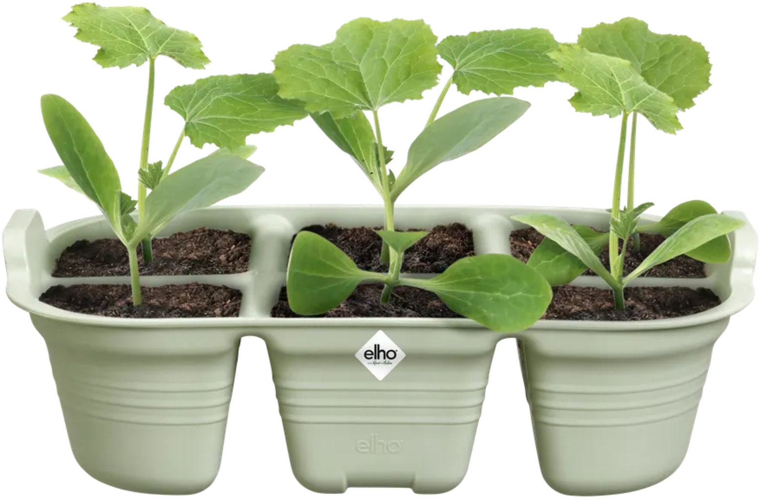 Elho Green Basics Anzucht-Set - Schwarz – Bild 15