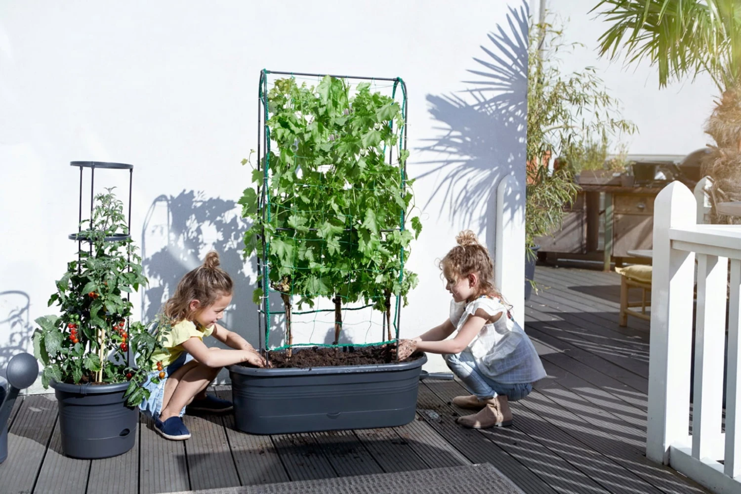 Elho Green Basics Veggie Wall 80 Cm – Bild 3