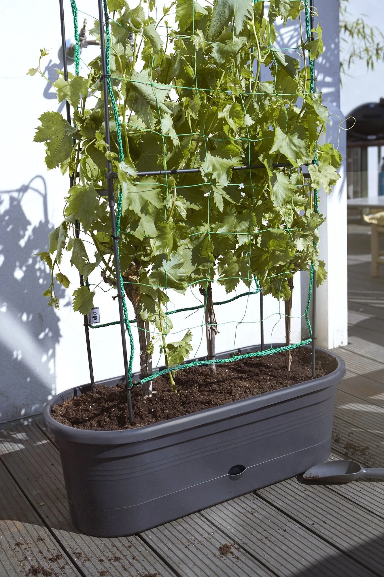 Elho Green Basics Veggie Wall 80 Cm – Bild 8