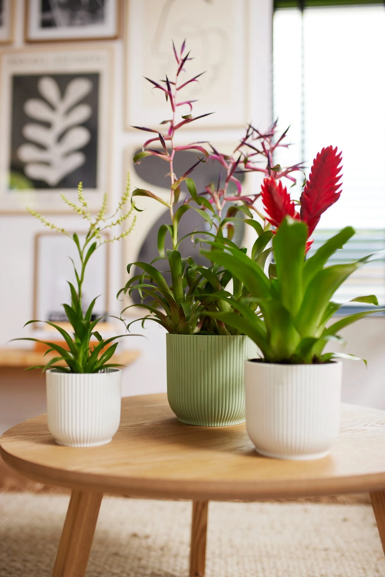 Elho Vibes Fold Rund 16 Cm, Sorbet Grün – Bild 3