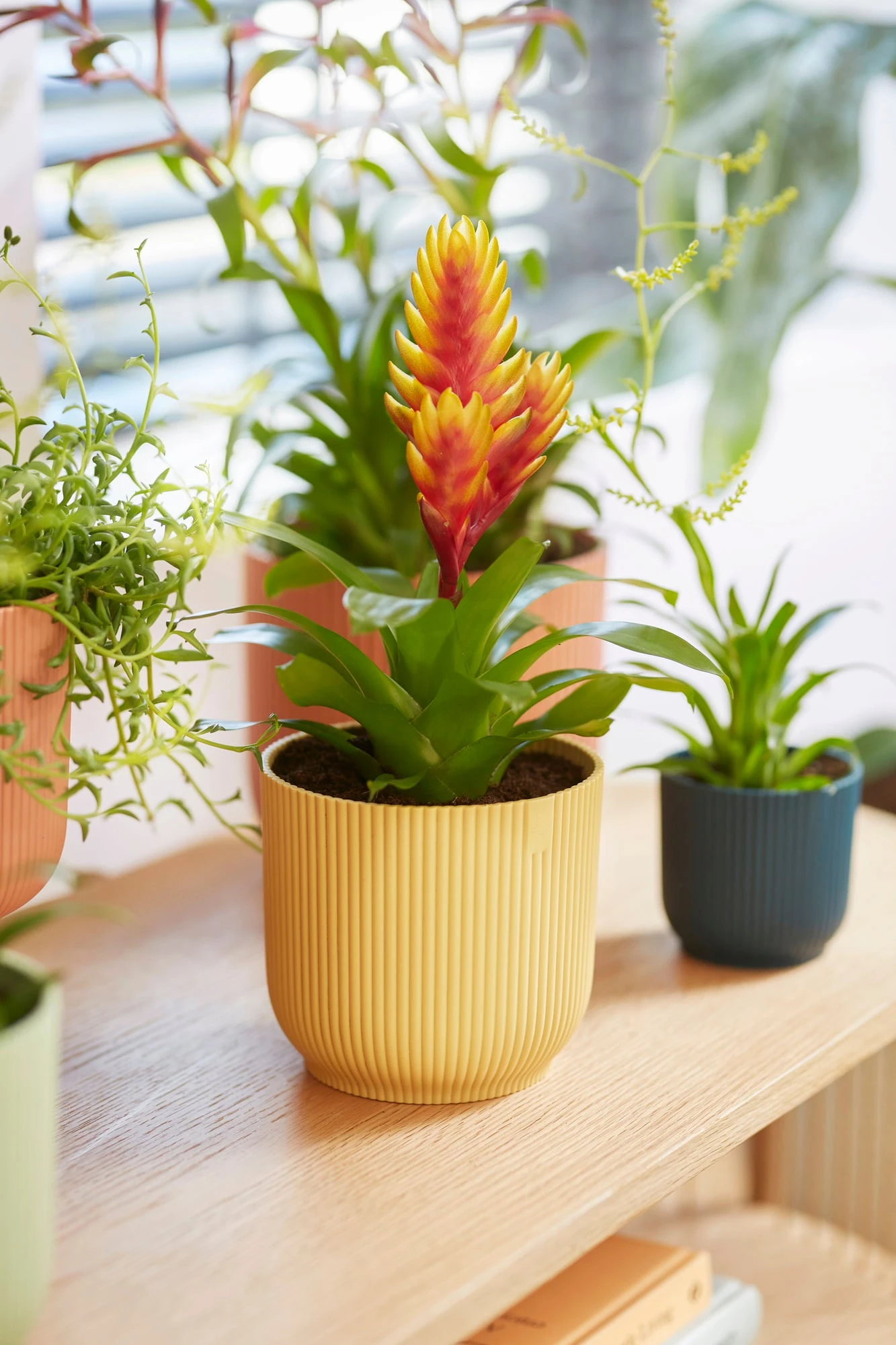 Elho Vibes Fold Rund 16 Cm, Sorbet Grün – Bild 15