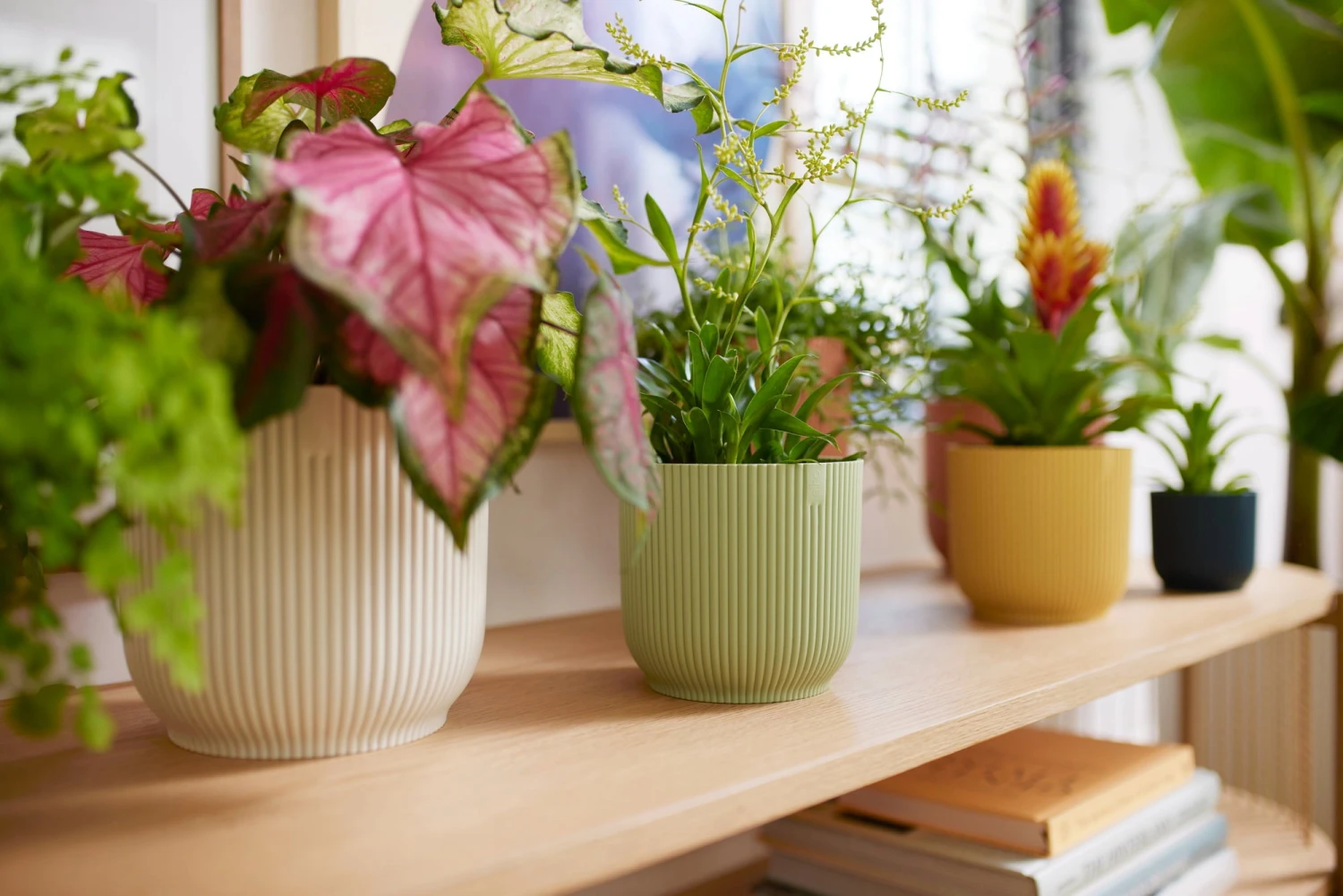 Elho Vibes Fold Rund 16 Cm, Sorbet Grün – Bild 7