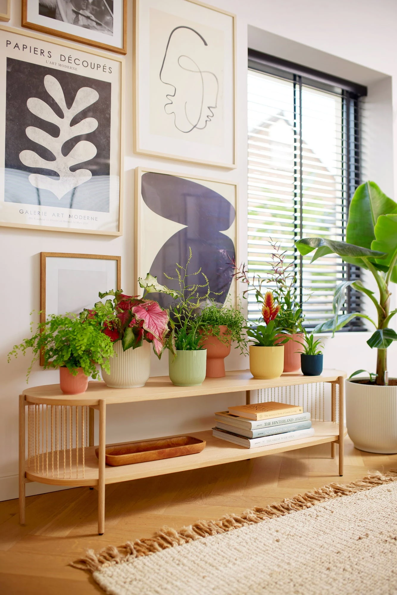 Elho Vibes Fold Rund 16 Cm, Sorbet Grün – Bild 9