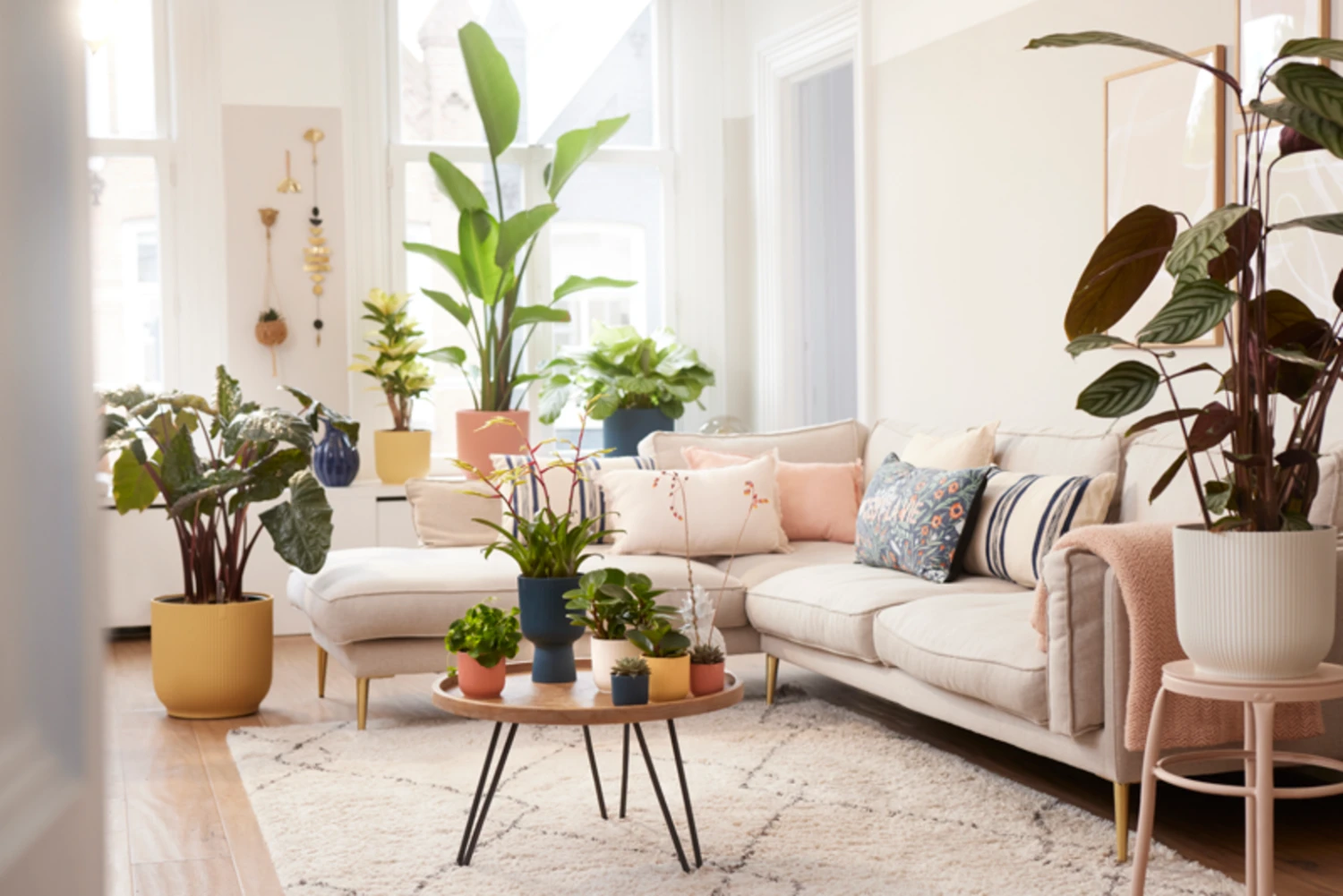 Elho Vibes Fold Rund 16 Cm, Sorbet Grün – Bild 14