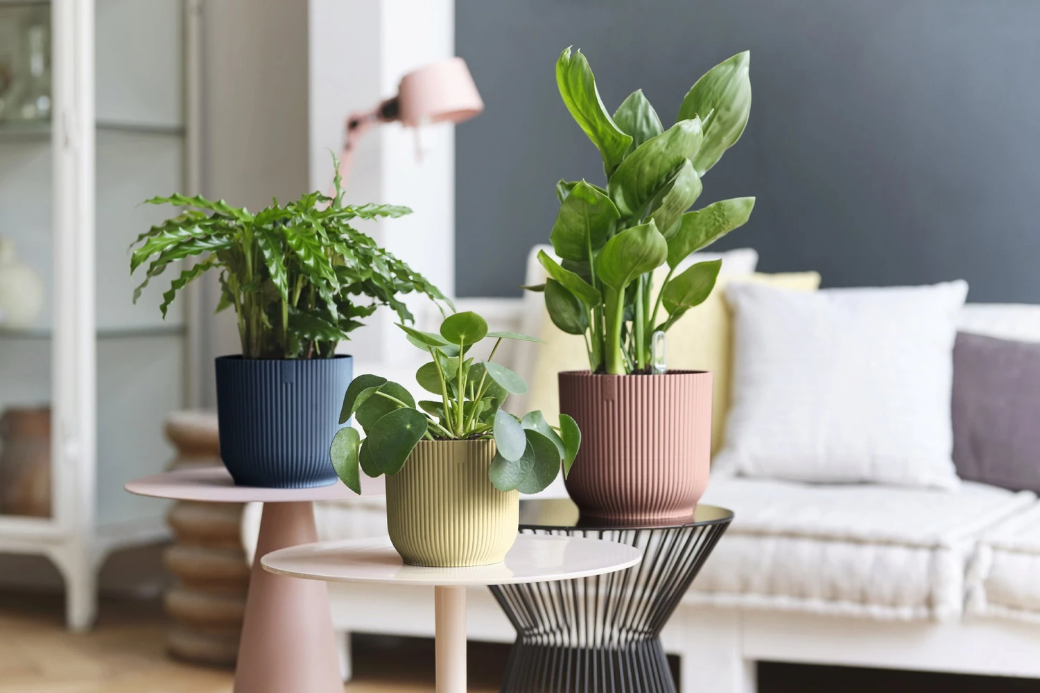 Elho Vibes Fold Rund 16 Cm, Sorbet Grün – Bild 10