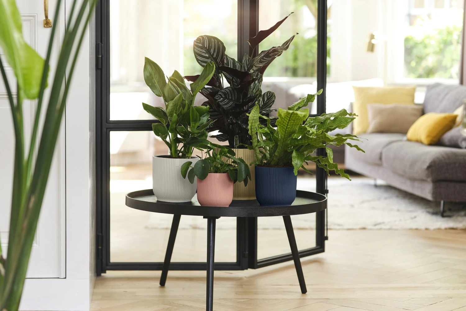 Elho Vibes Fold Rund 16 Cm, Sorbet Grün – Bild 11