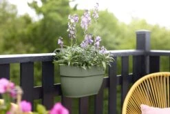 Elho Vibia Campana Easy Hanger Medium, Pistazien Grün