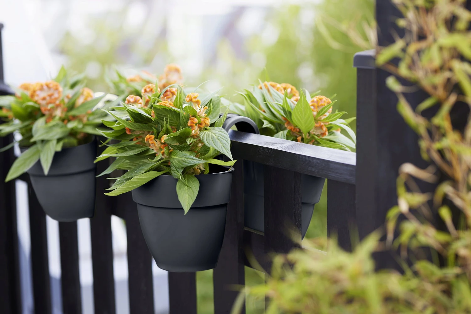 Elho Vibia Campana Flower Twin 21 Cm, Anthrazit – Bild 6