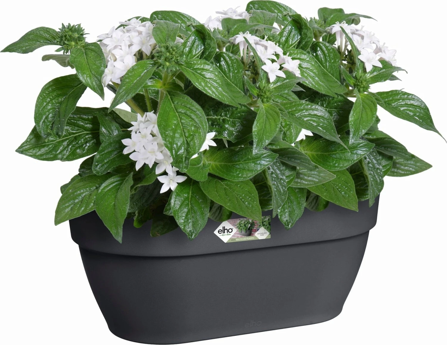 Elho Vibia Campana Wandampel 35 Cm, Anthrazit – Bild 2