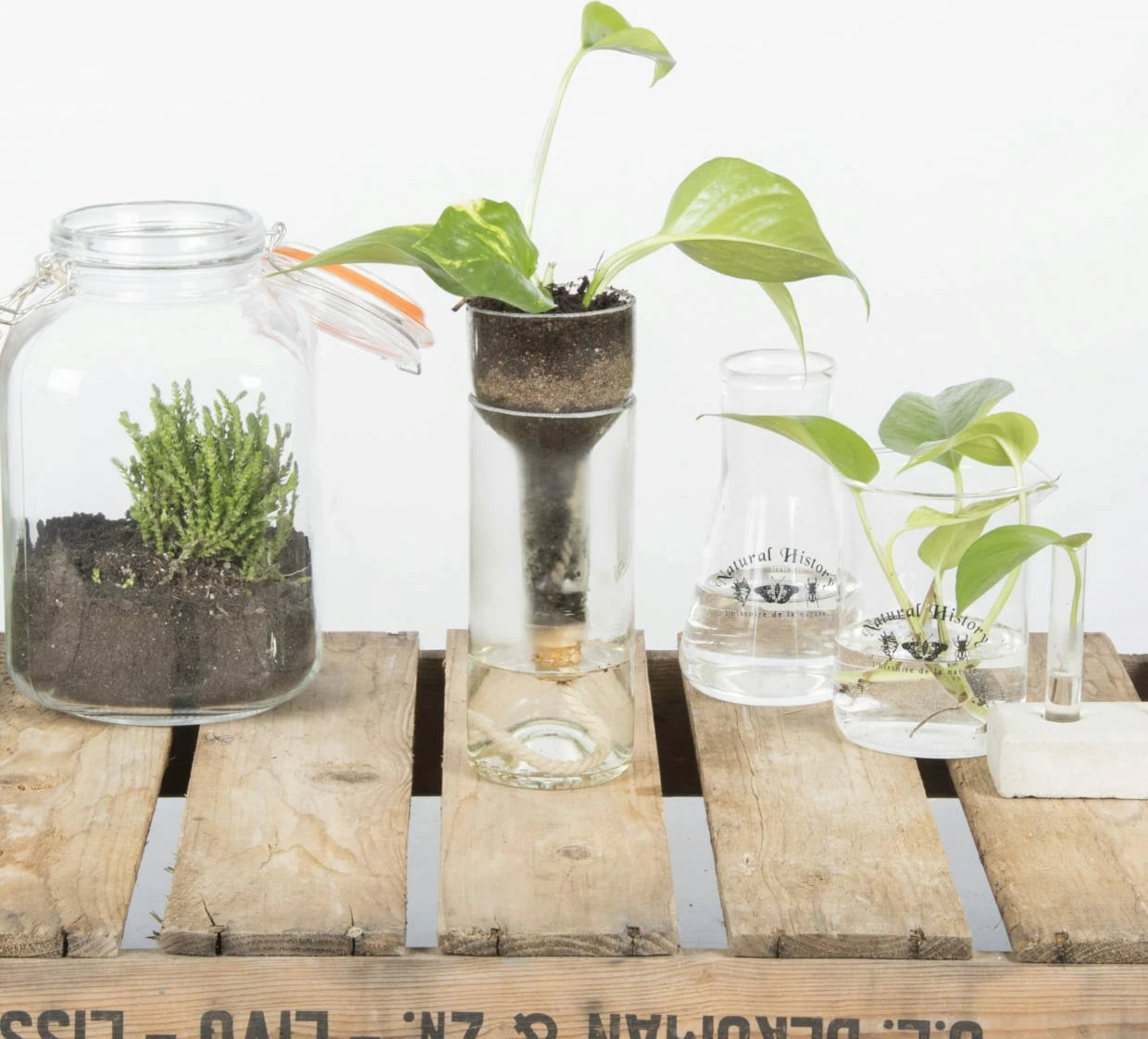 ESSCHERT DESIGN Selbstbewässernder Flaschentopf – Bild 4