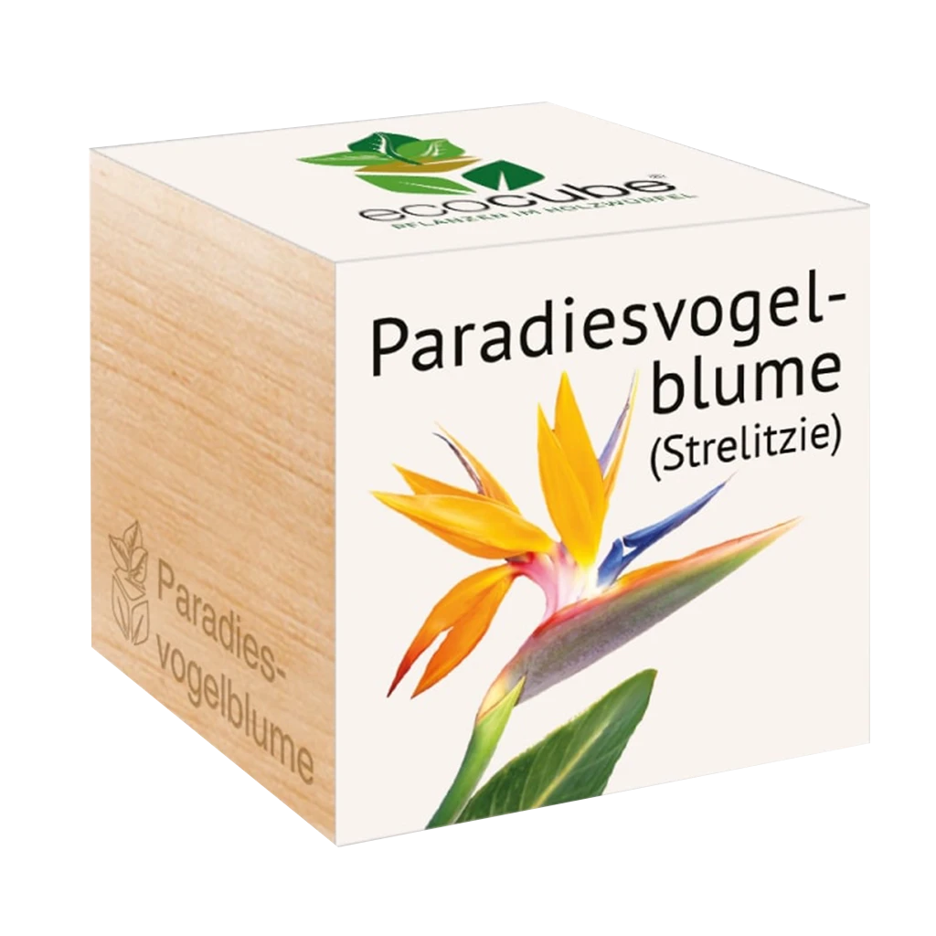 Ecocube "Paradiesvogelblume"