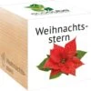 Ecocube "Weihnachtsstern"