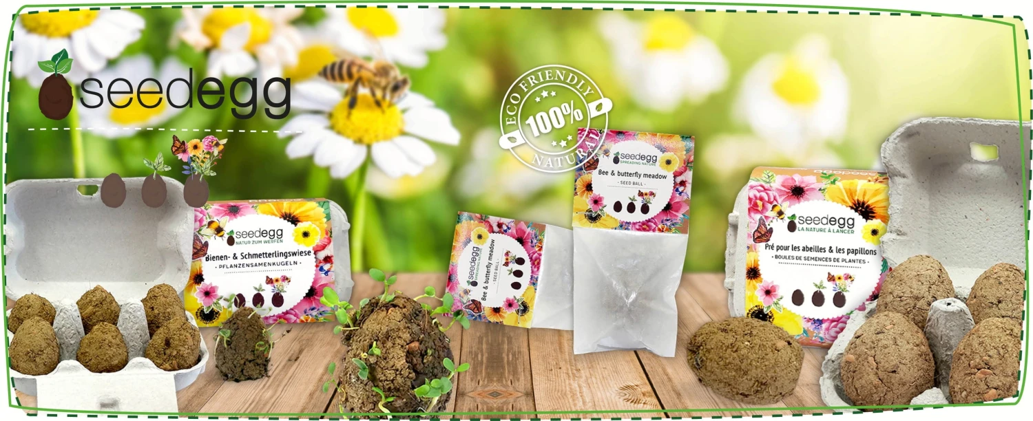 Seedegg "Tüte" – Bild 2