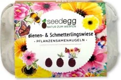 Seedegg "Wachtelei", 6 Stück