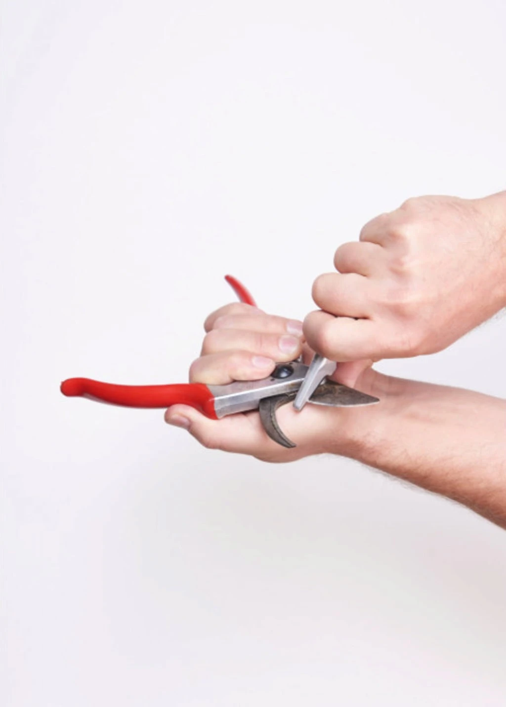 Felco Schleifwerkzeug – Bild 2