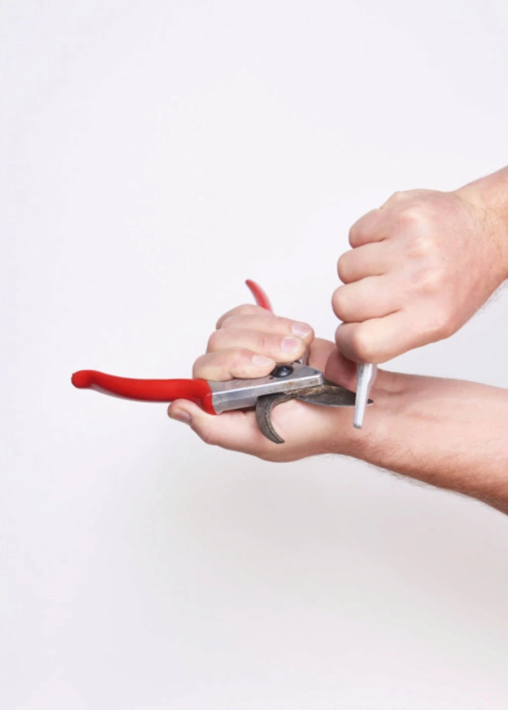 Felco Schleifwerkzeug – Bild 6