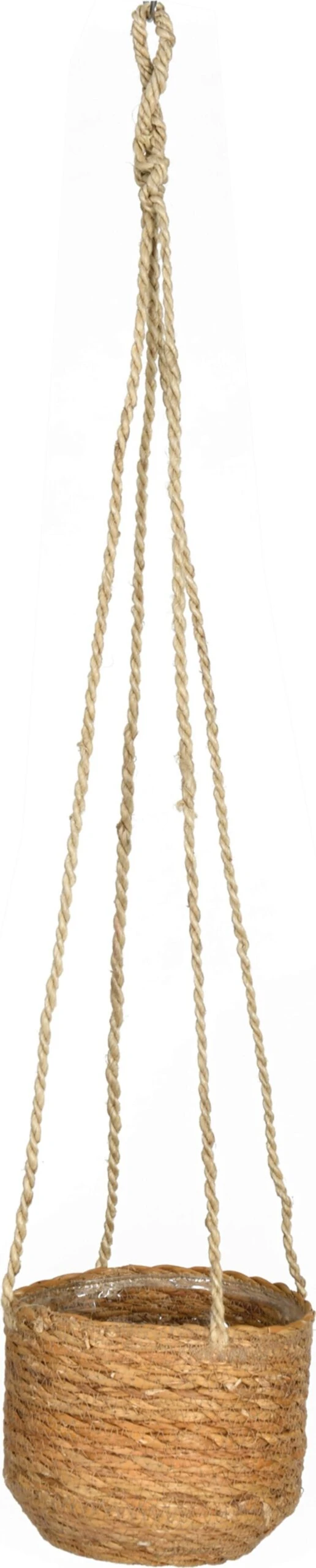 Blumenampel, Kurz – Bild 5