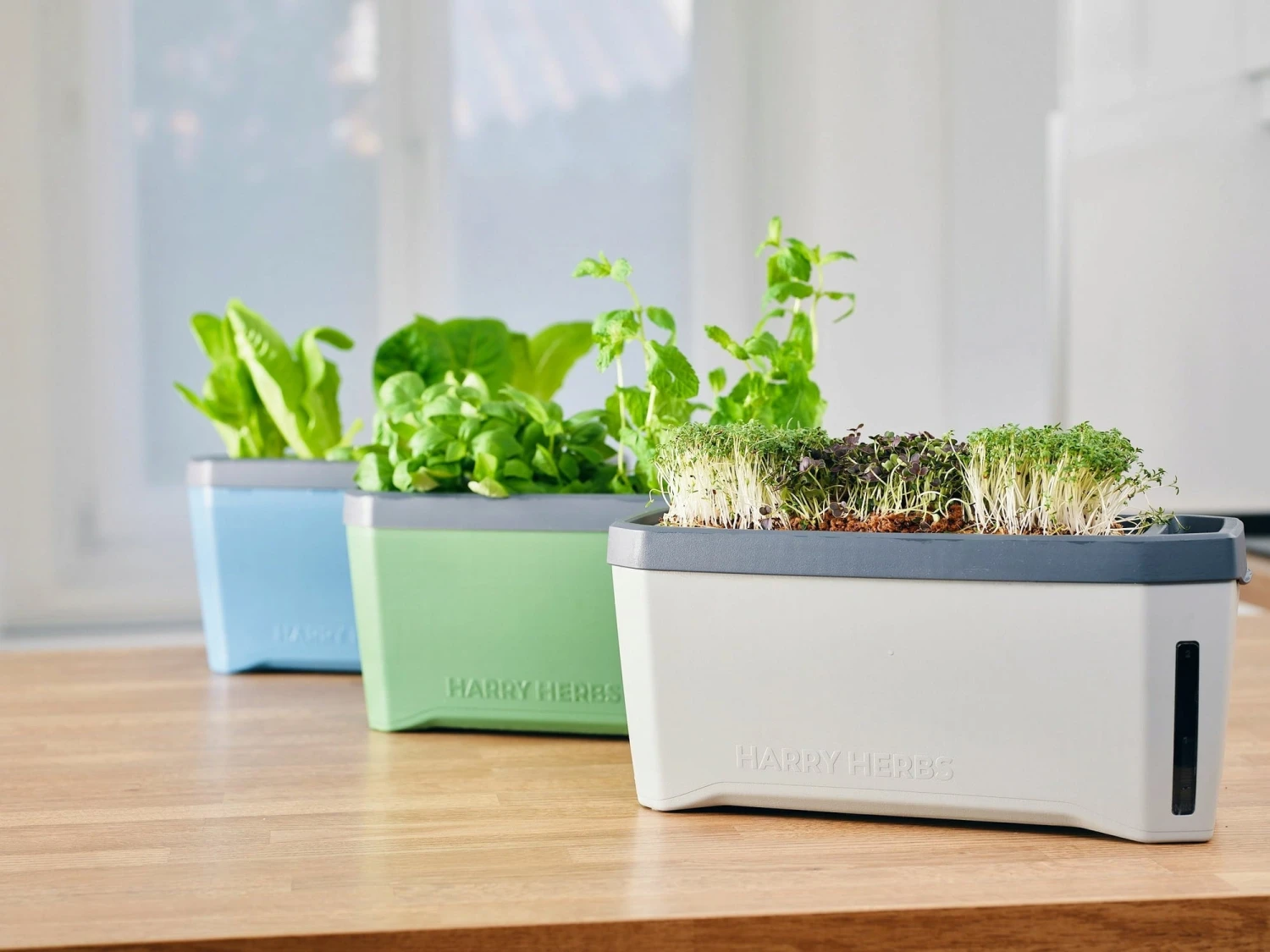 Harry Herbs Kräutertopf - Mit Haube, Weiß – Bild 7